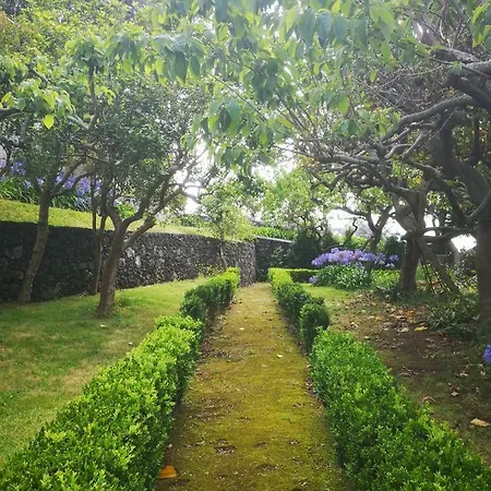Quinta Camelias - Acores Lägenhet Ponta Delgada